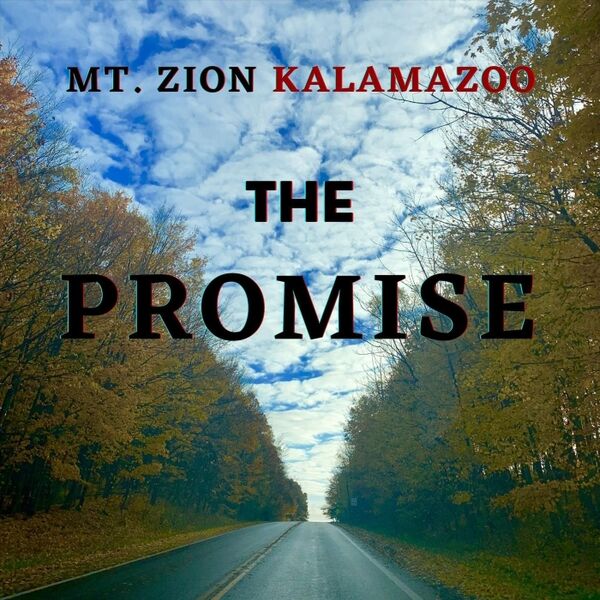 Cover art for The Promise